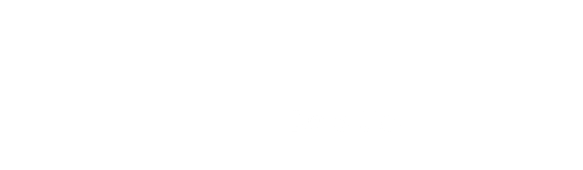 Deloitte Fast 500